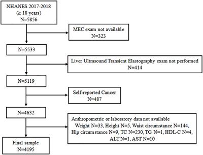 The lipid accumulation product is a powerful tool to diagnose metabolic dysfunction-associated fatty liver disease in the United States adults